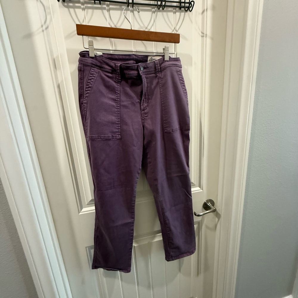 Elegant Purple Ankle Jeans